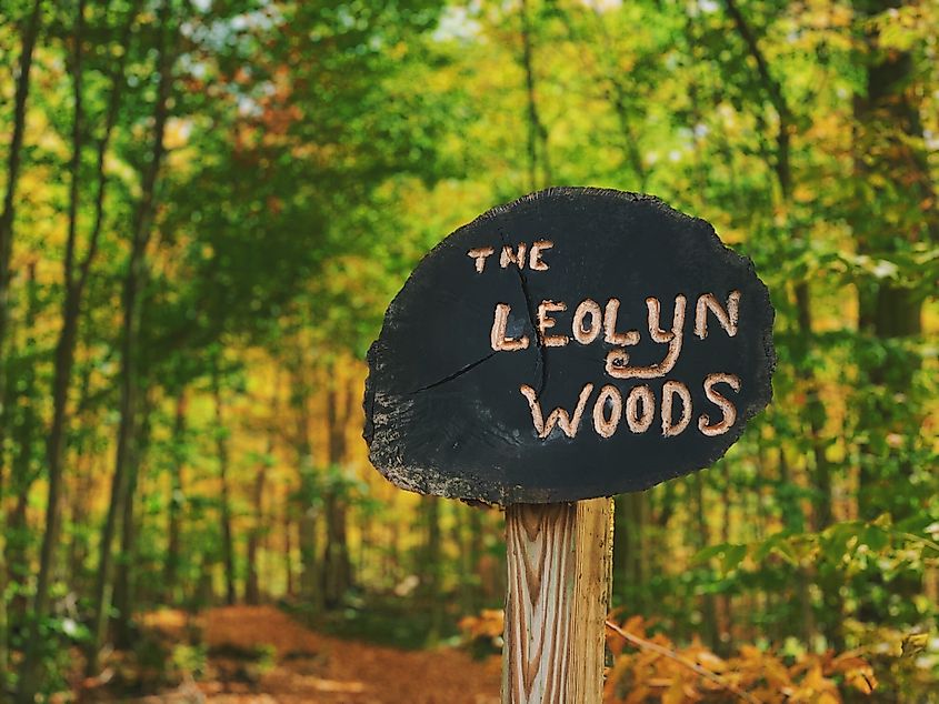 Wooden trail sign reading “The Leolyn Woods” beside a narrow forest path surrounded by green and gold foliage in Lily Dale, New York.