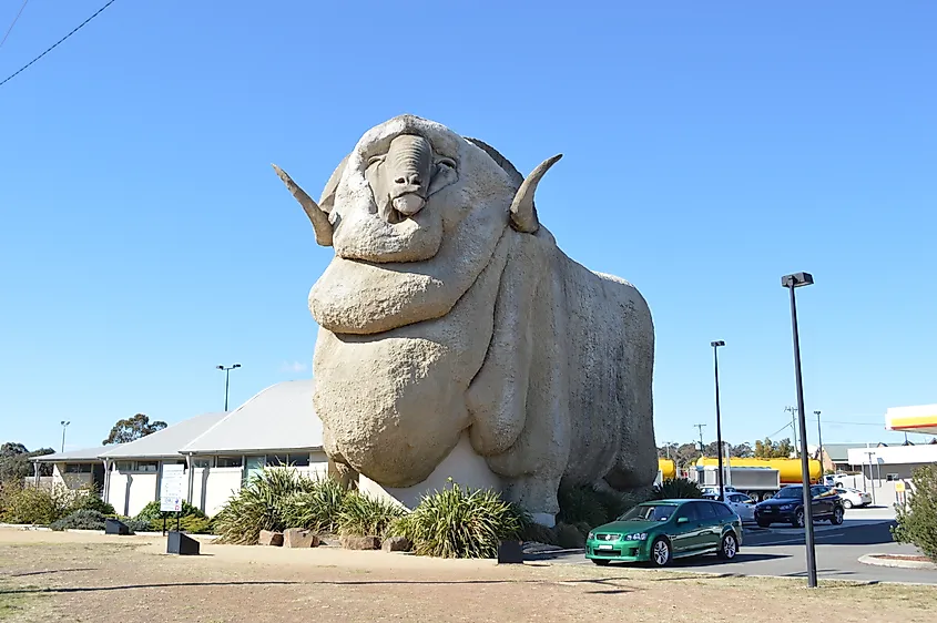 Big Merino in Goulburn, New South Wales.
