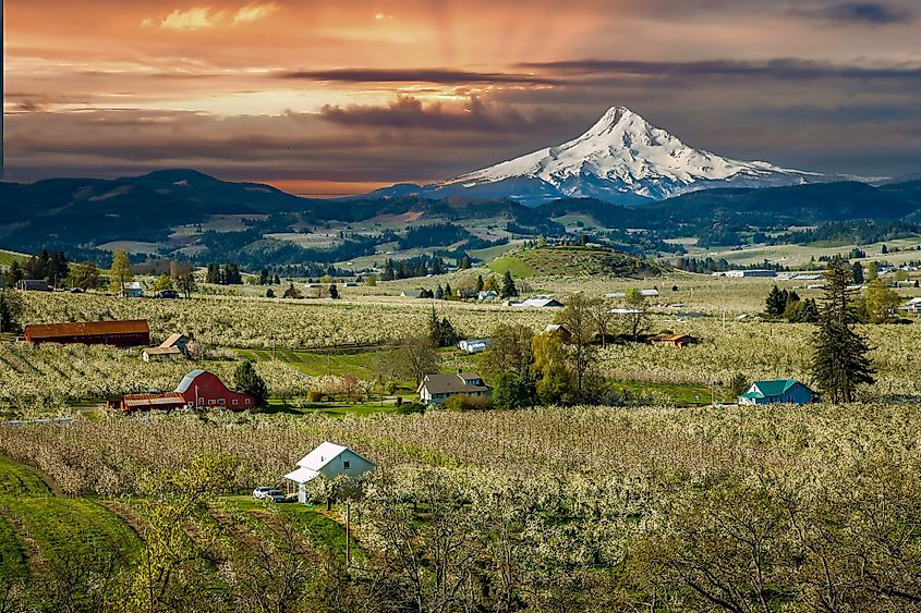 Hood River, Oregon.