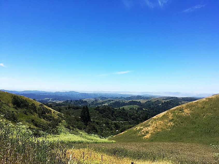 Santa Cruz Mountains
