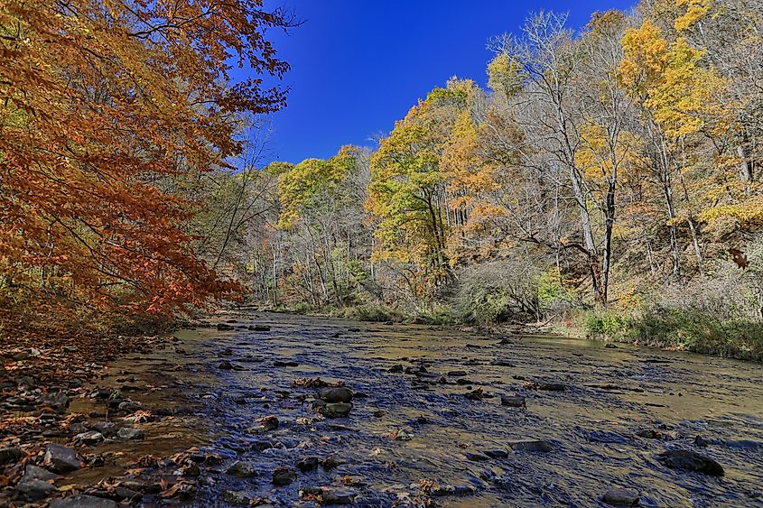 Casselman River in Western Maryland.