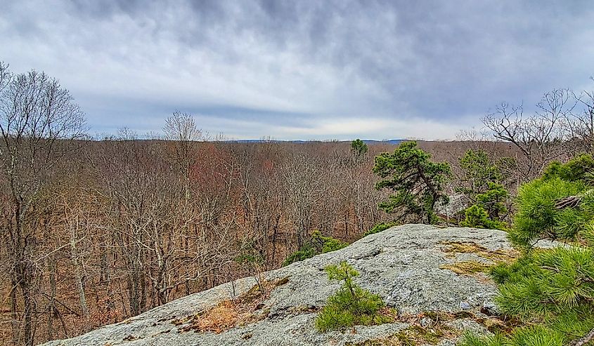 Cockaponset State Forest, Connecticut.
