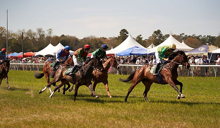 Aiken Spring Steeplechase, South Carolina