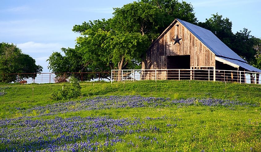 Bluebonnet Trail Barn Near Ennis, Texas