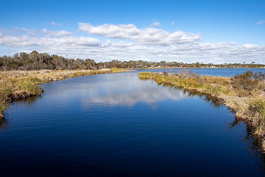 Marshland of Shelby Lakes at Gulf State Park 