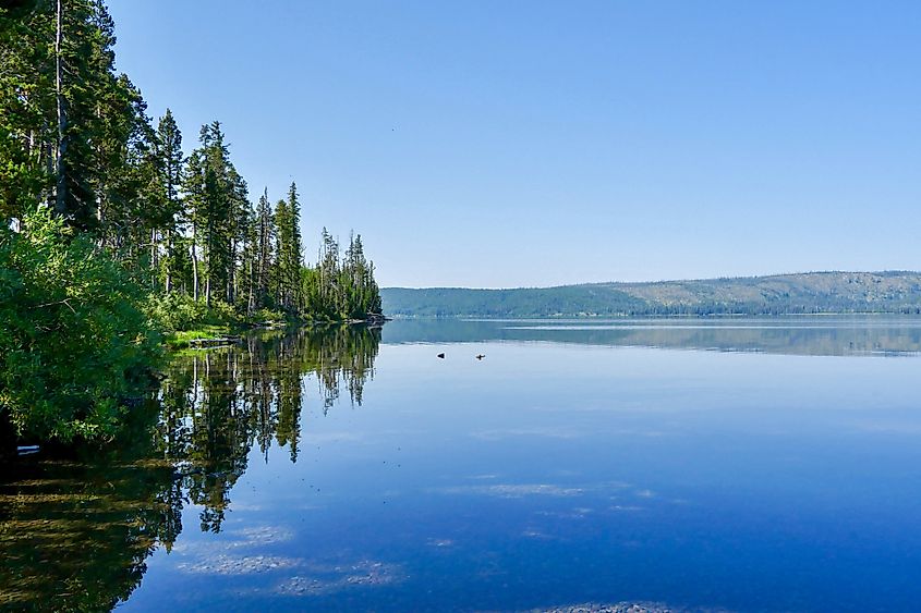 Lewis Lake, Yellowstone National Park, WY.