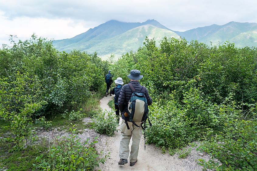 People hiking the Valley of Ten Thousand Smokes in the Katmai National Park and Preserve, Alaska.