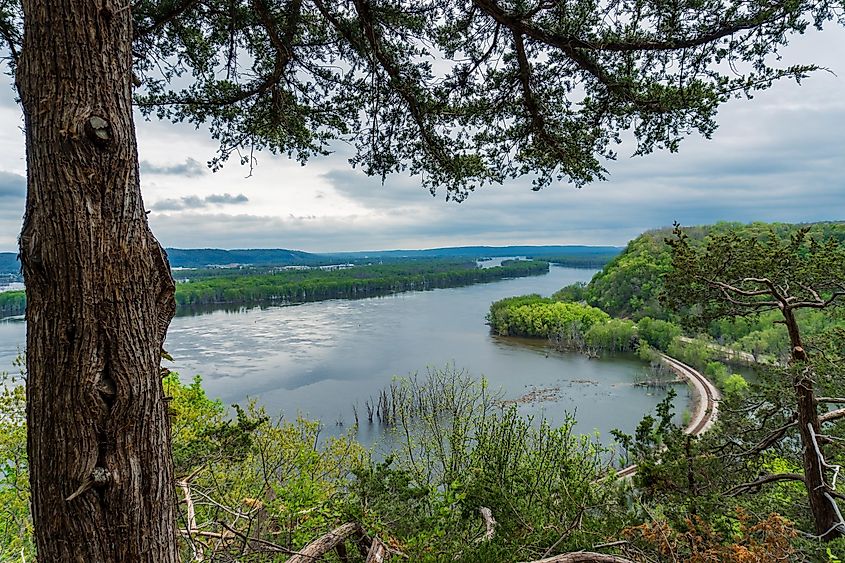 Mississippi River in Effigy Mounds National Monument. Fire Point view of Mississippi River Gorge from the top of the bluff. Iowa and WiscMississippi River in Effigy Mounds National Monument. Fire Point view of Mississippi River Gorge from the top of the bluff. Iowa and Wisconsin border. Spring flood stage.onsin border. Spring flood stage.