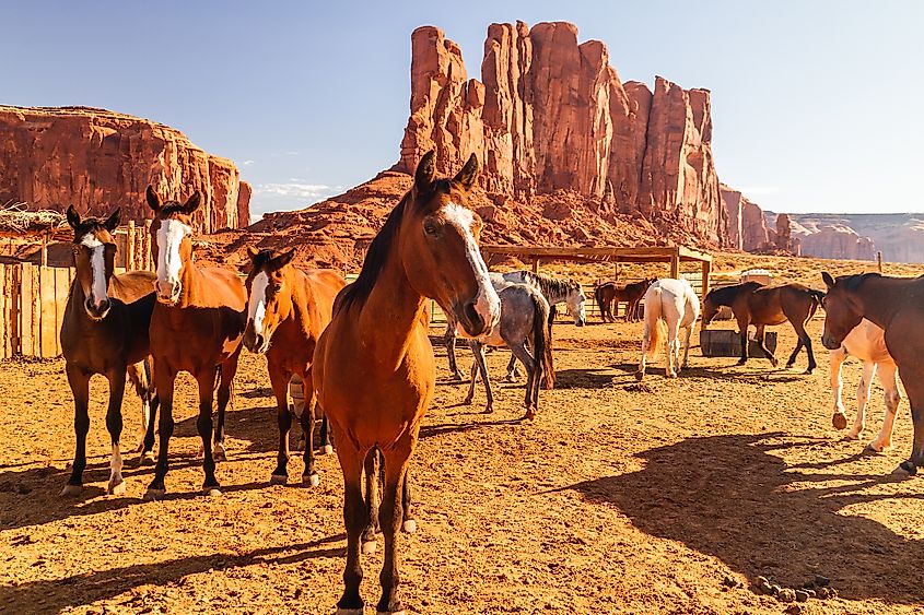 Monument Valley