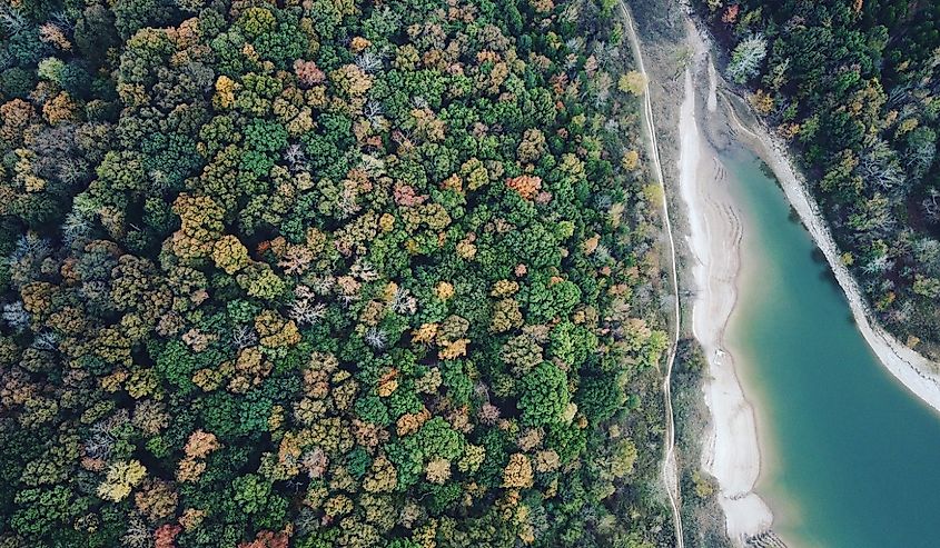 Overlooking autumn trees at Barren River Lake in Kentucky.