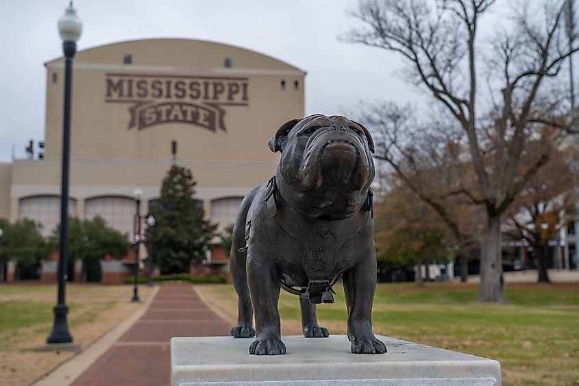 Mississippi State University in Starkville
