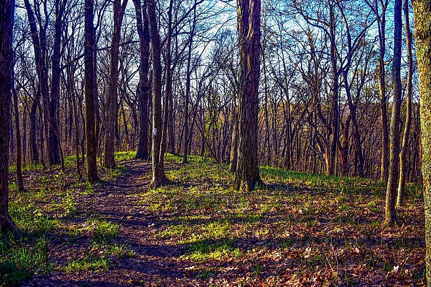 The Buckeye Trail at Pike Lake, Ohio