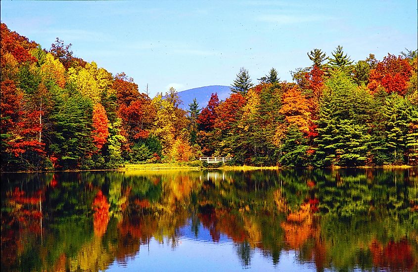 Chattahoochee National Forest
