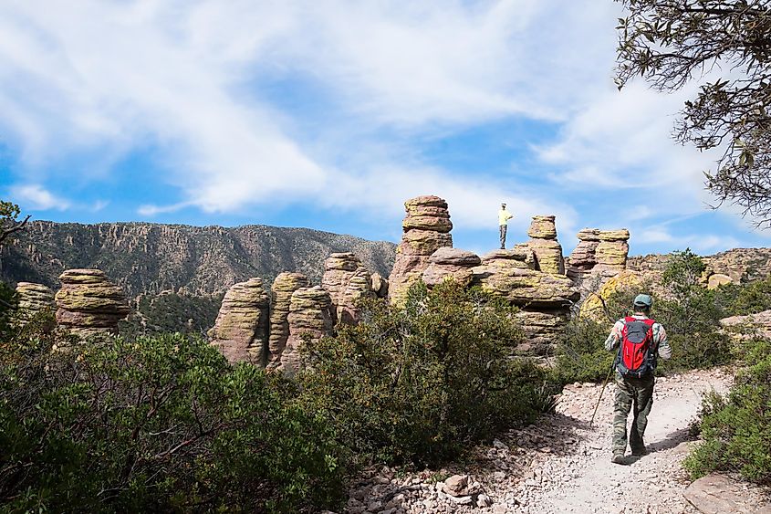 Echo Canyon Trail. Chiricahua National Monument, Arizona, United States