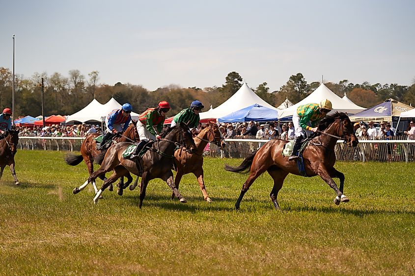 Horse-racing event at Aiken, South Carolina. 