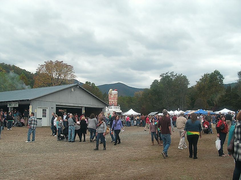 Crowd at the 2014 Graves Mountain Apple Harvest Festival, Syria, Virginia.