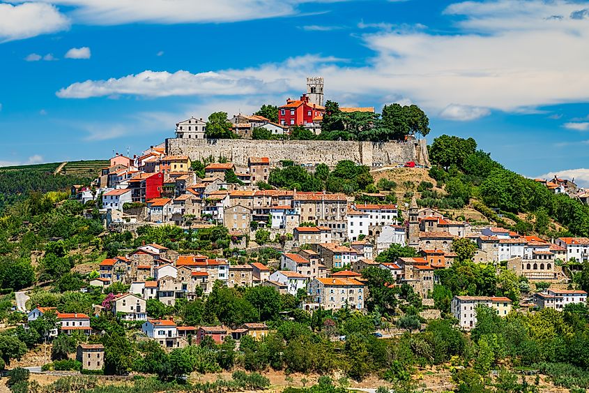The medieval city of Motovun in Istria, Croatia surrounded by vineyards.