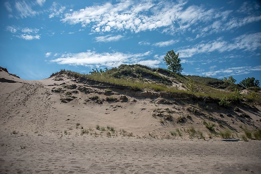 Mount Baldy, Indiana Dunes National Park, along the shoreline of Lake Michigan