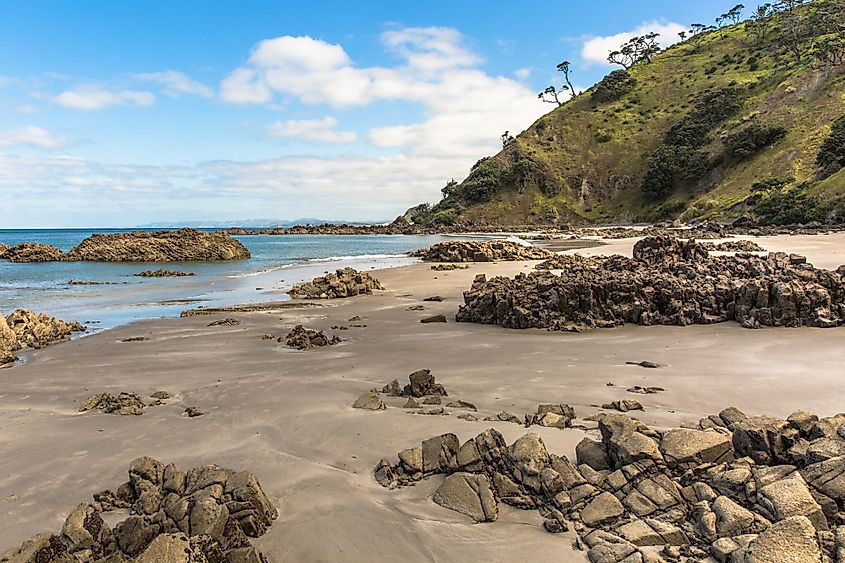 Rock formations on Mangawhai Heads Beach