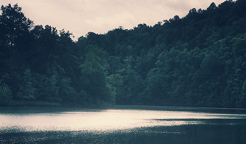 Somber Morning canoeing on East Lynn Lake surrounded by evergreens