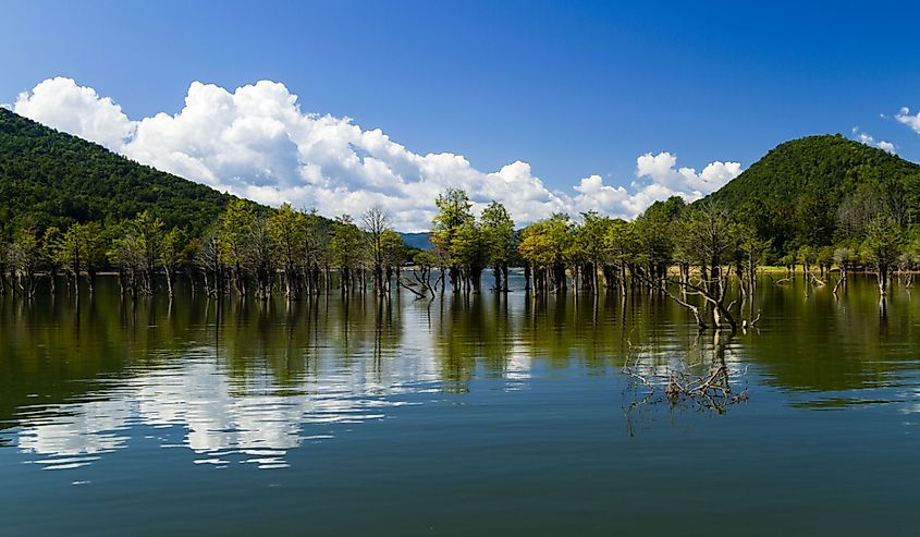 Reflection of Trees in Lake Watauga on a sunny day with a few clouds in the sky