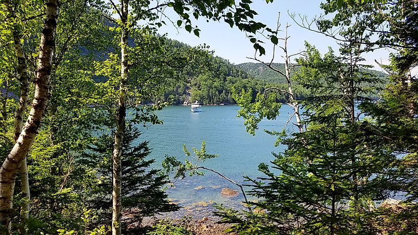 Trail overlooking Somes Sound in Acadia National Park, Maine