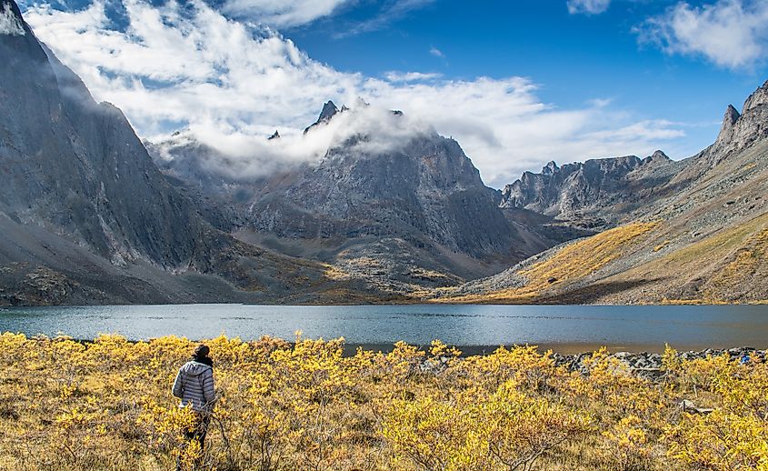 Grizzly lake