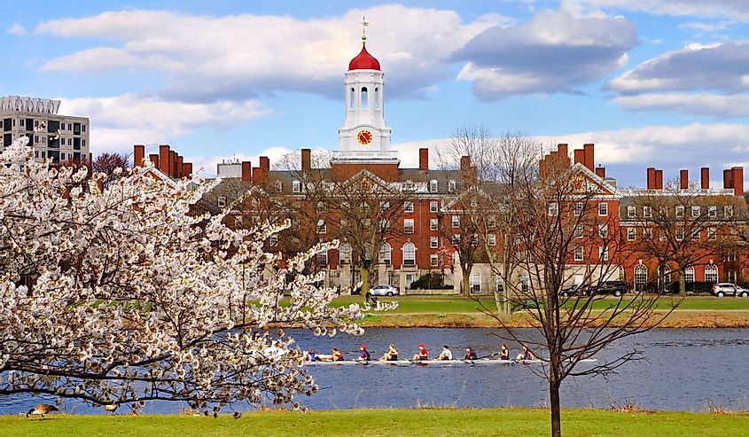 Harvard in the spring, Cambridge, Massachusetts
