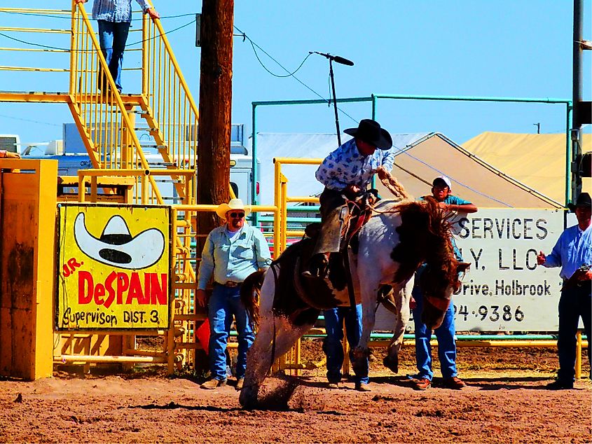 The Navajo County Fair in Holbrook, Arizona.