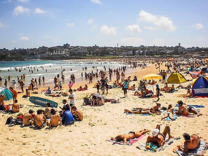 People relaxing on the Bondi beach in Sydney, Australia