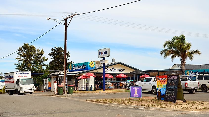 Beachcomber, Coffin Bay. Credit: Bahnfrend, CC BY-SA 4.0 <https://creativecommons.org/licenses/by-sa/4.0>, via Wikimedia Commons