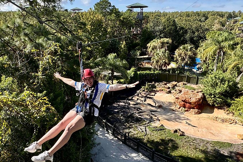 Ziplining over alligators is all part of the fun at Gatorland. Image credit: Bryan Dearsley