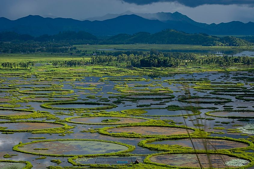 Loktak Lake