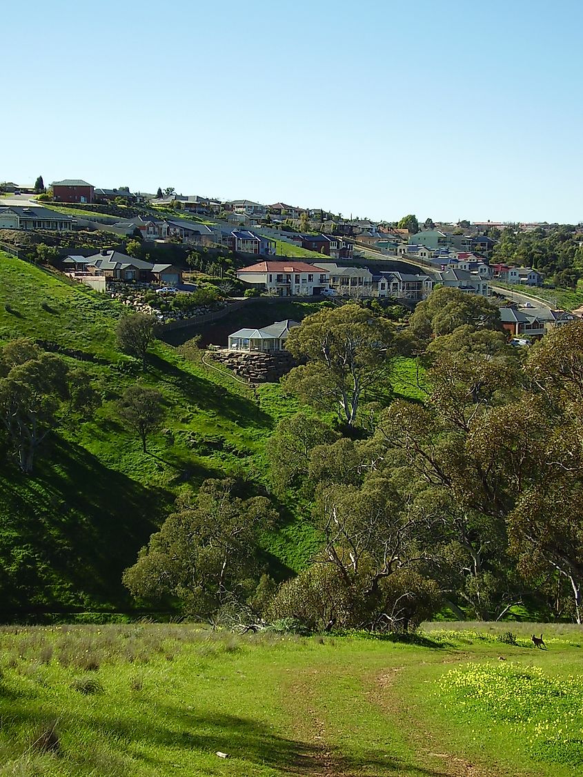 Suburb of Greenwith in the north east of Adelaide, South Australia. View from a hill in adjacent cobbler creek reserve.