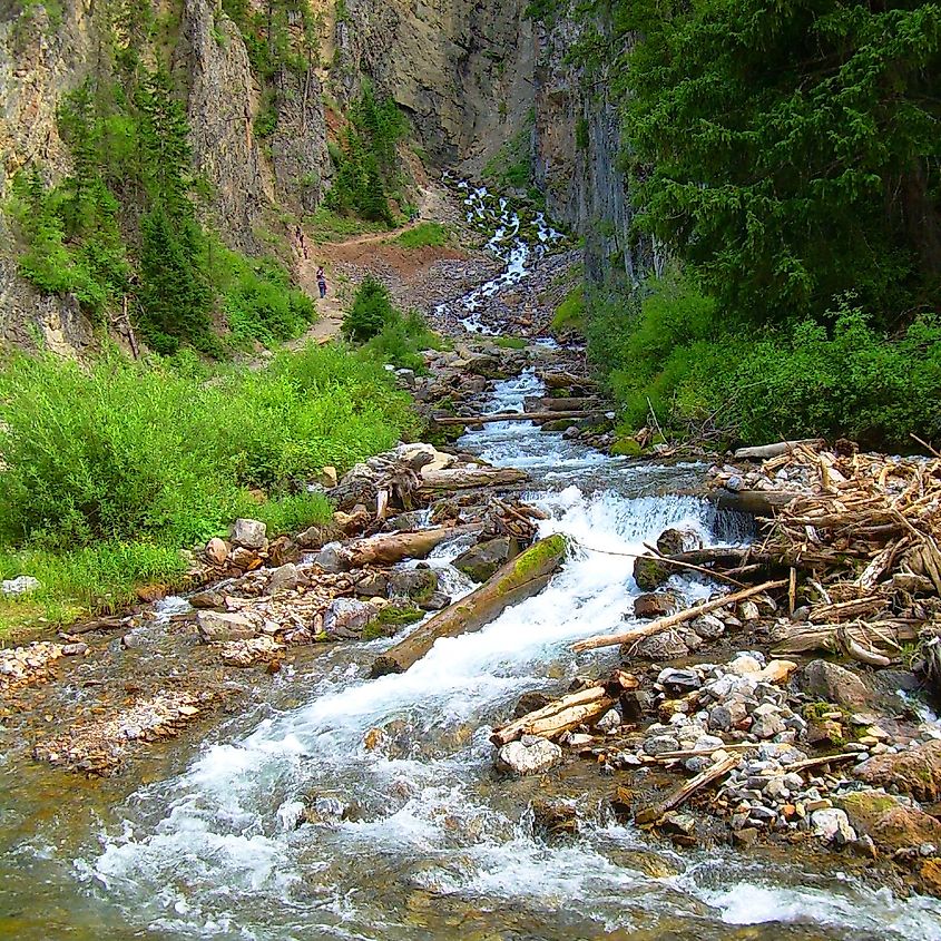 Swift Creek tumbling out of Intermittent Spring near Afton, Wyoming.
