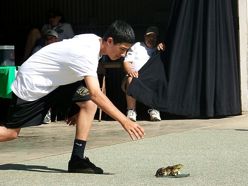 Jumping Frog Jubilee in Angels Camp, Florida.