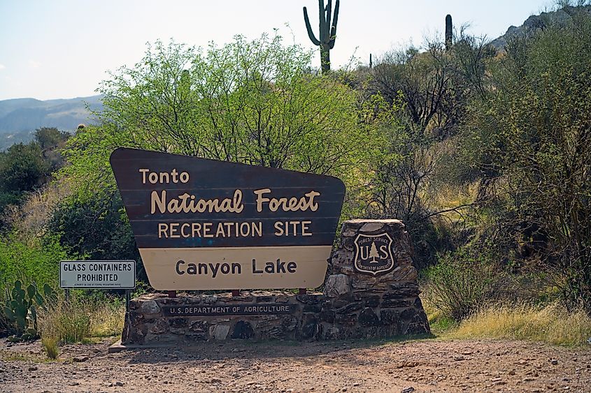 Signs at Tonto National Forest.