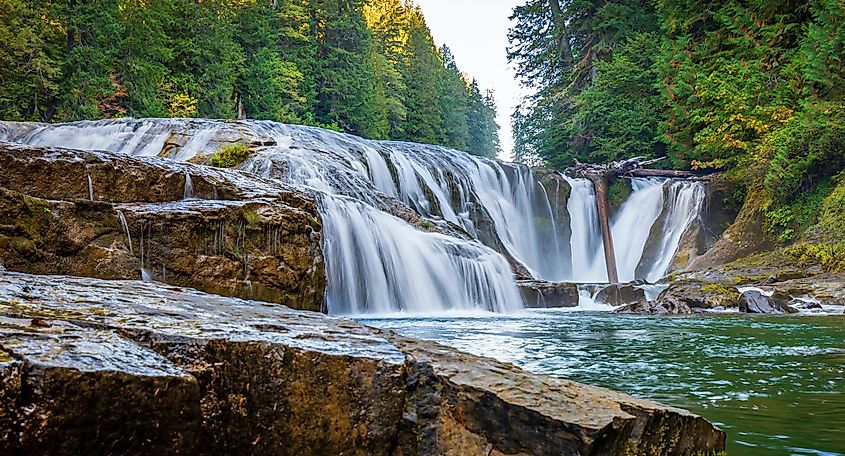 gifford pinchot national forest