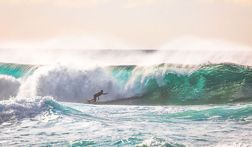 Epic Hawaiian Surf on Oahu's North Shore - surfer riding a giant wave