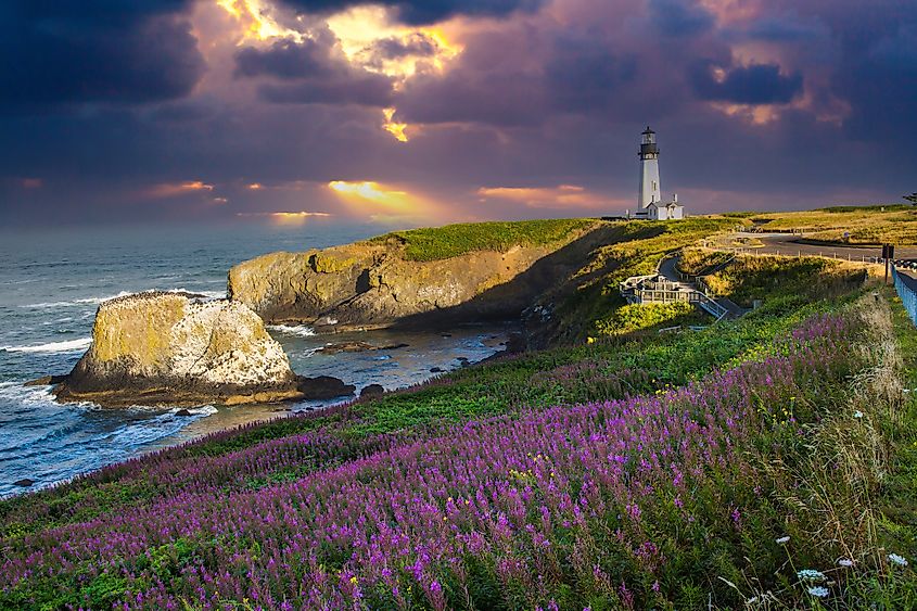 The iconic Yaquina Head Lighthouse is a must-visit destination on the Oregon Coast Highway.