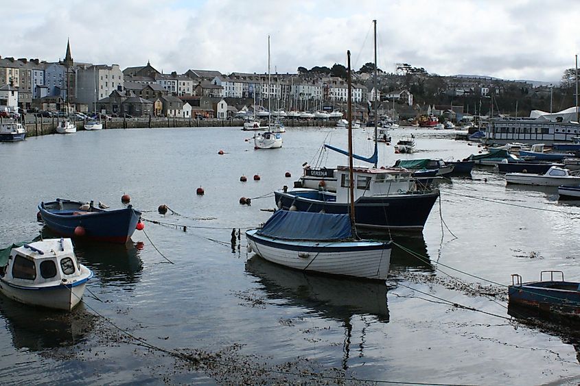 The marina at Caenarfon Bay.