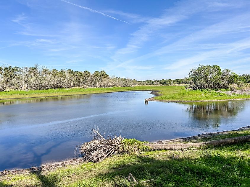 Myakka River State Park in Florida.