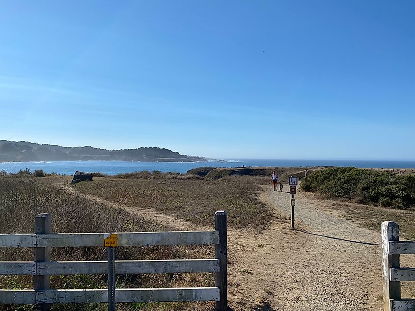 A woman and her dog walking a grassy waterside nature trail. 