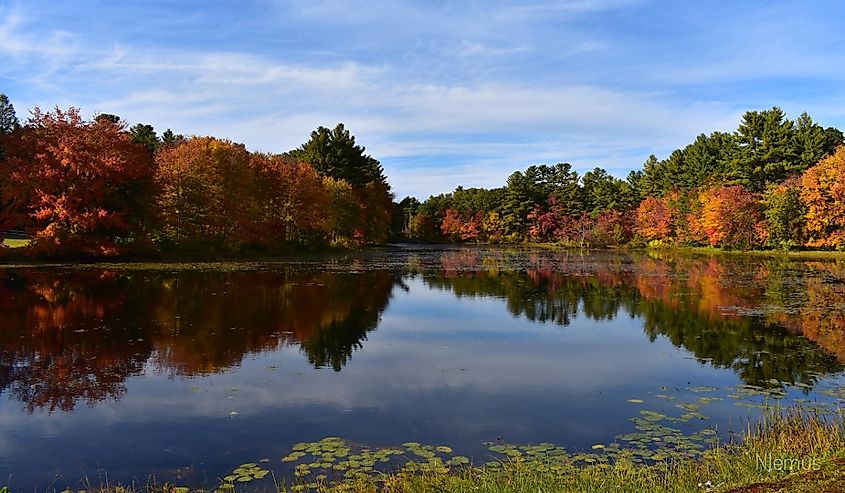 This is beautiful fall foliage in West Greenwich, Rhode Island at Stepstone Falls.