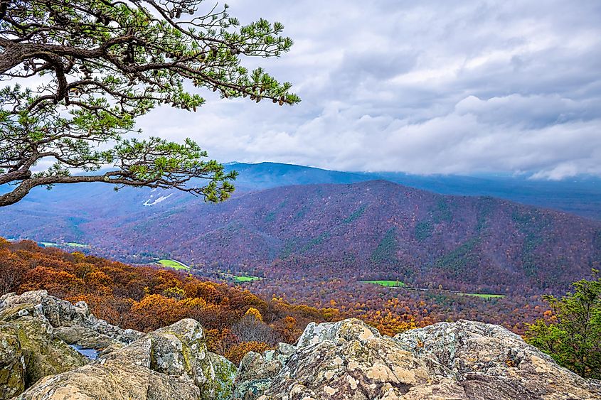 Blue Ridge parkway mountains in autumn fall foliage