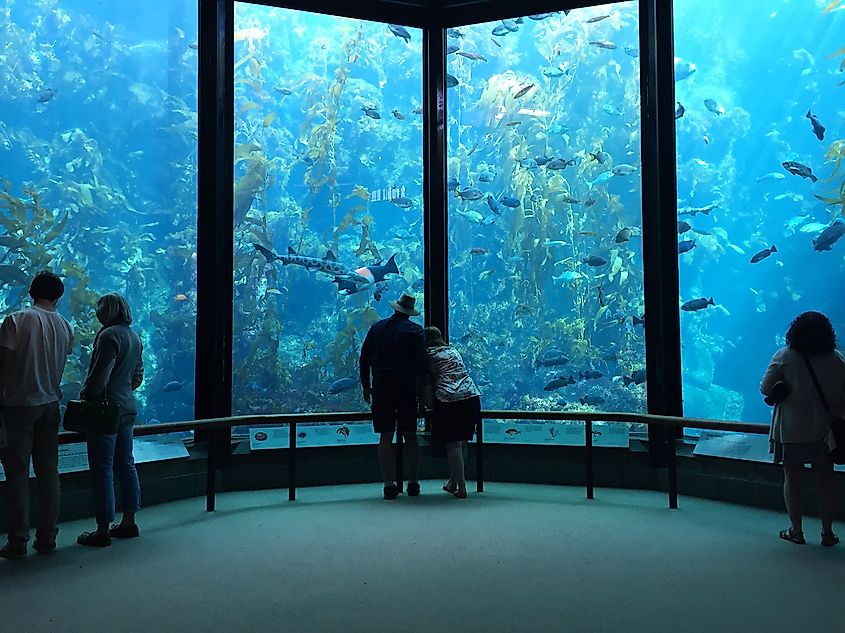 The Monterey Bay Aquarium in Monterey, California