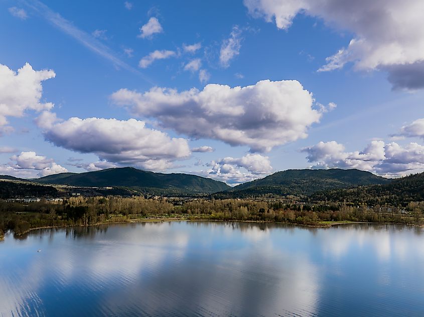 Peaceful Afternoon at Lake Sammamish State Park, Washington.