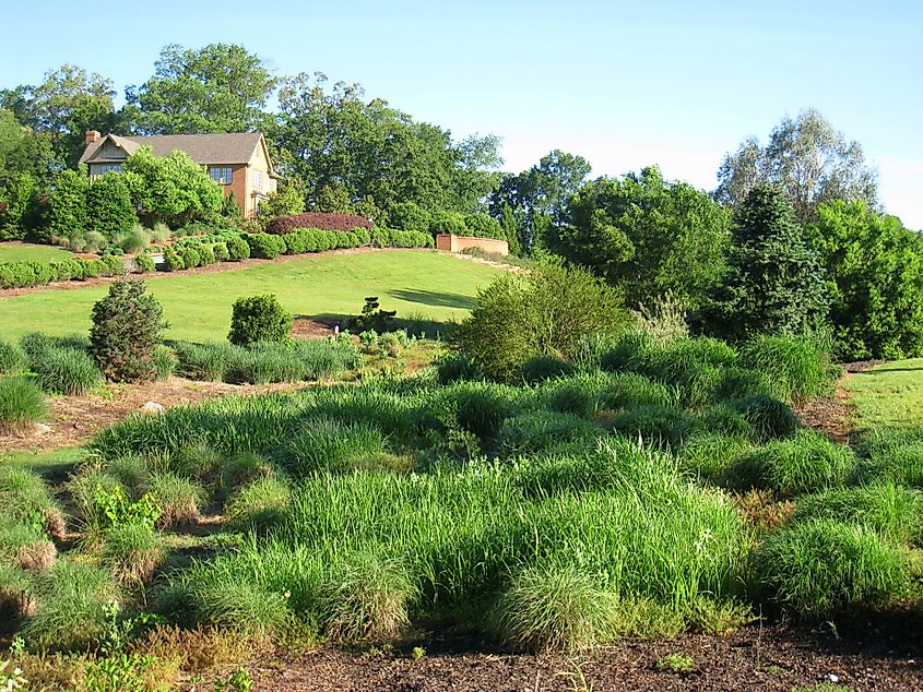 South Carolina Botanical Garden, Clemson, South Carolina