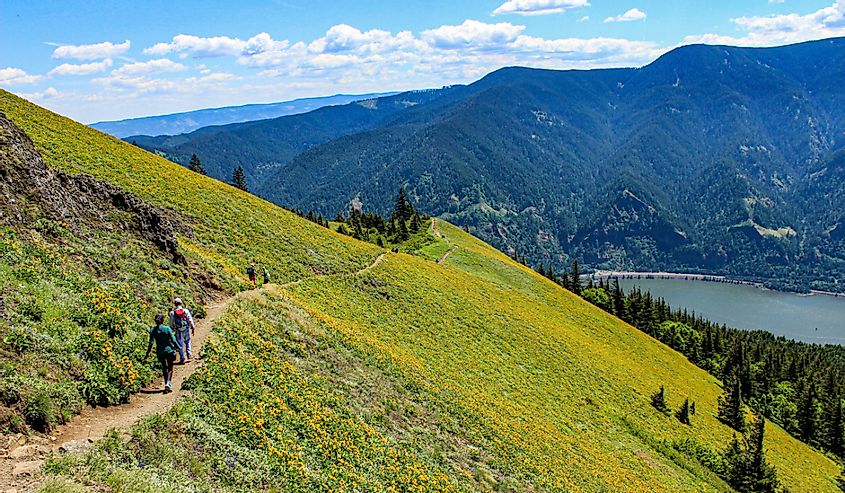A color image of hikers reaching the top of Table Mountain in Washington state's scenic Columbia River Gorge.