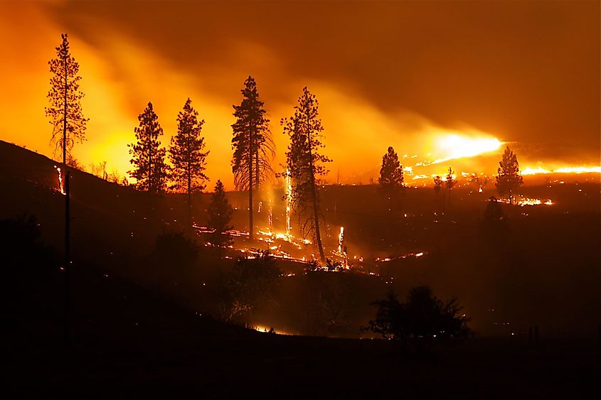 The Okanogan Complex Fire - the largest and most destructive wildfire in Washington State history